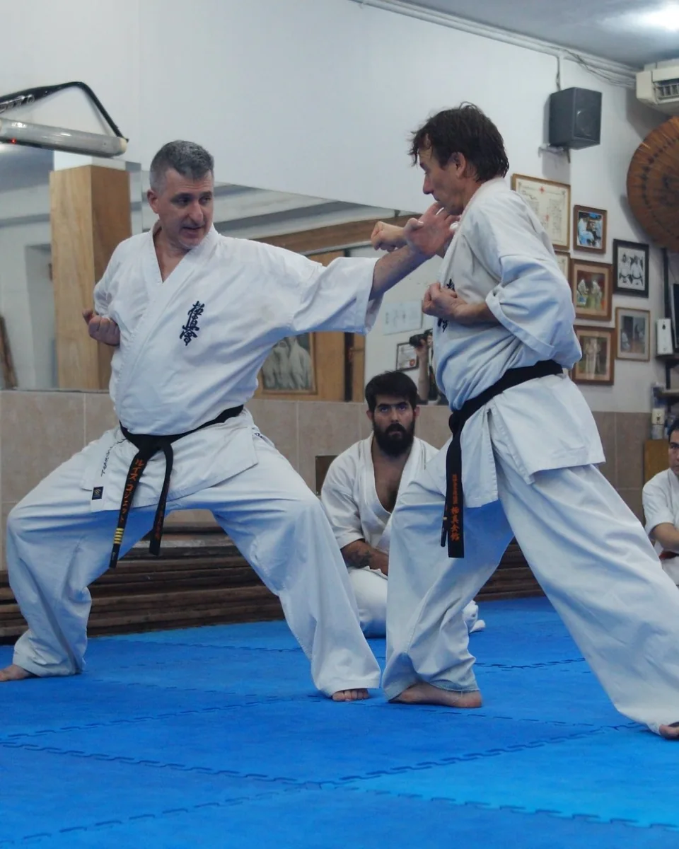 Práctica técnica en pareja sobre el tatami.