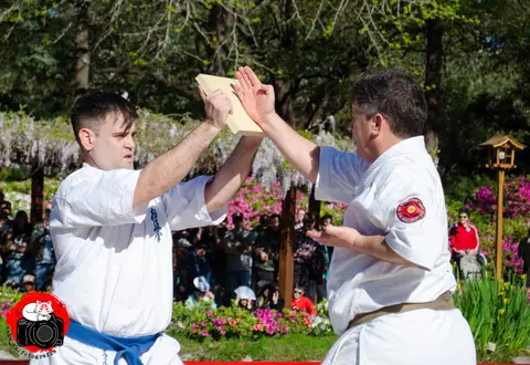 Tameshiwari con tablas · Enbu en el Jardín Japonés 2024