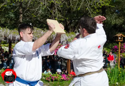 Tameshiwari con tablas · Enbu en el Jardín Japonés 2024