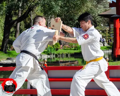 Tameshiwari con tablas · Enbu en el Jardín Japonés 2024