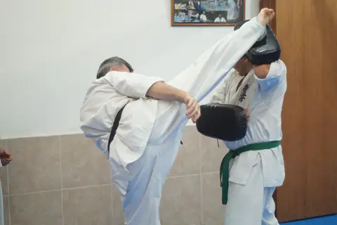 Práctica de Goshin Jutsu en parejas · Seminario de Goshin Jutsu