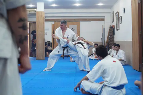 Práctica de Goshin Jutsu en parejas · Seminario de Goshin Jutsu