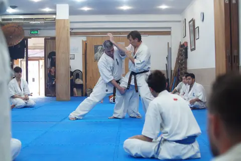 Práctica de Goshin Jutsu en parejas · Seminario de Goshin Jutsu