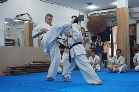 Práctica de Goshin Jutsu en parejas · Seminario de Goshin Jutsu
