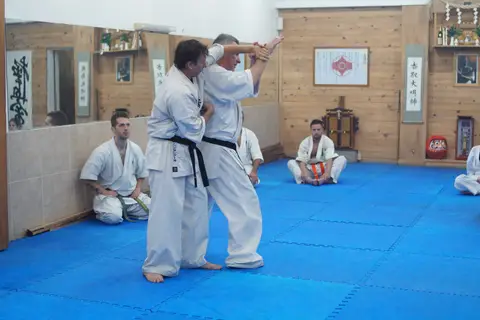 Práctica de Goshin Jutsu en parejas · Seminario de Goshin Jutsu