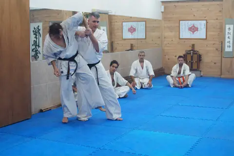 Práctica de Goshin Jutsu en parejas · Seminario de Goshin Jutsu