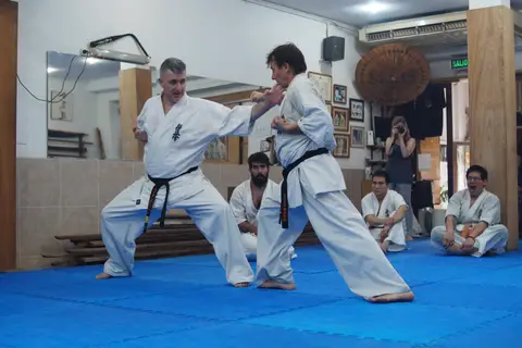 Práctica de Goshin Jutsu en parejas · Seminario de Goshin Jutsu