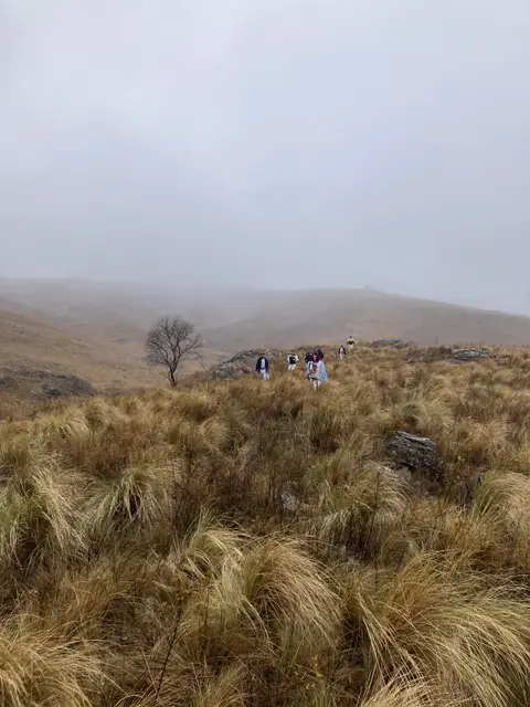 Paisaje del campamento · Winter Camp 2025